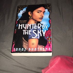 Hunted By The Sky book